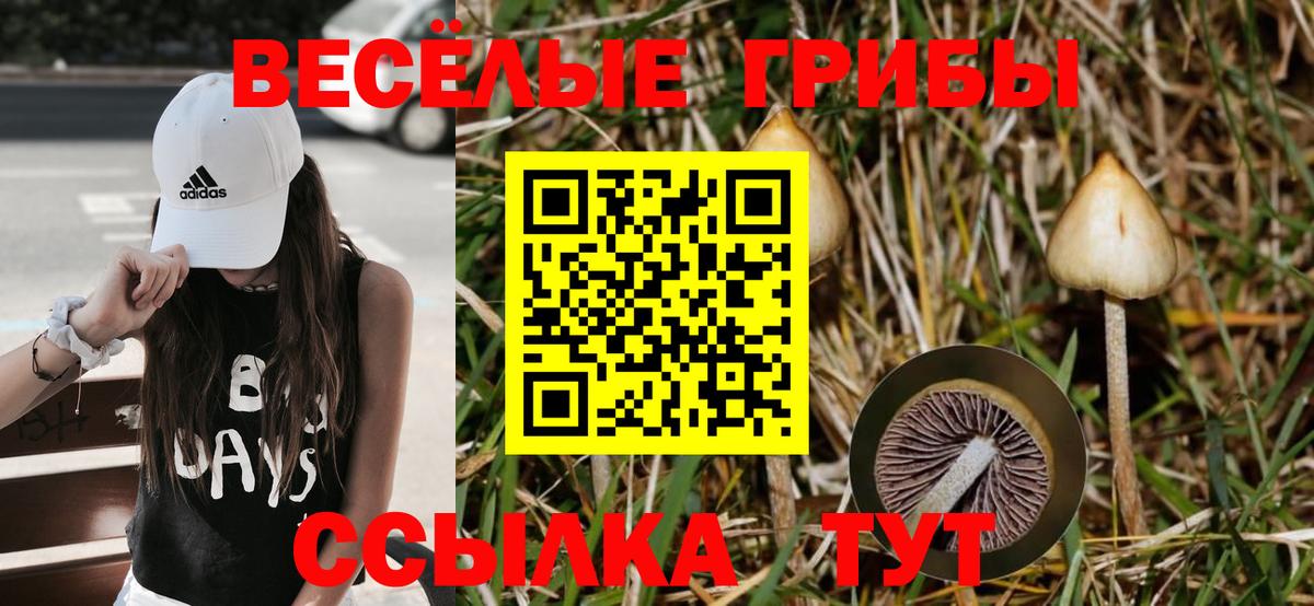 Донецк  продажа наркотиков  Вход с VPN  Галлюциногенные грибы мицелий 